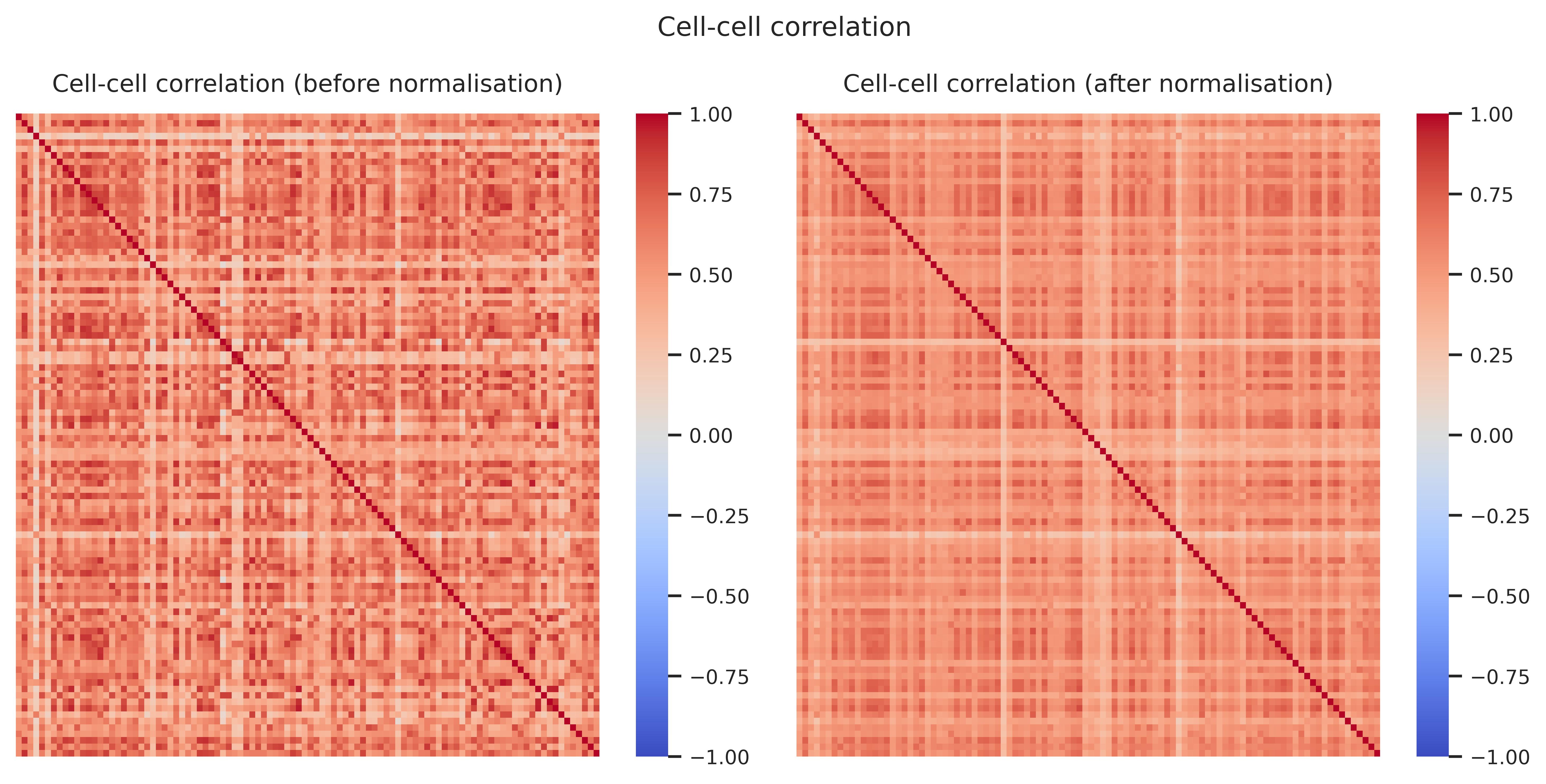 Cell–cell correlation