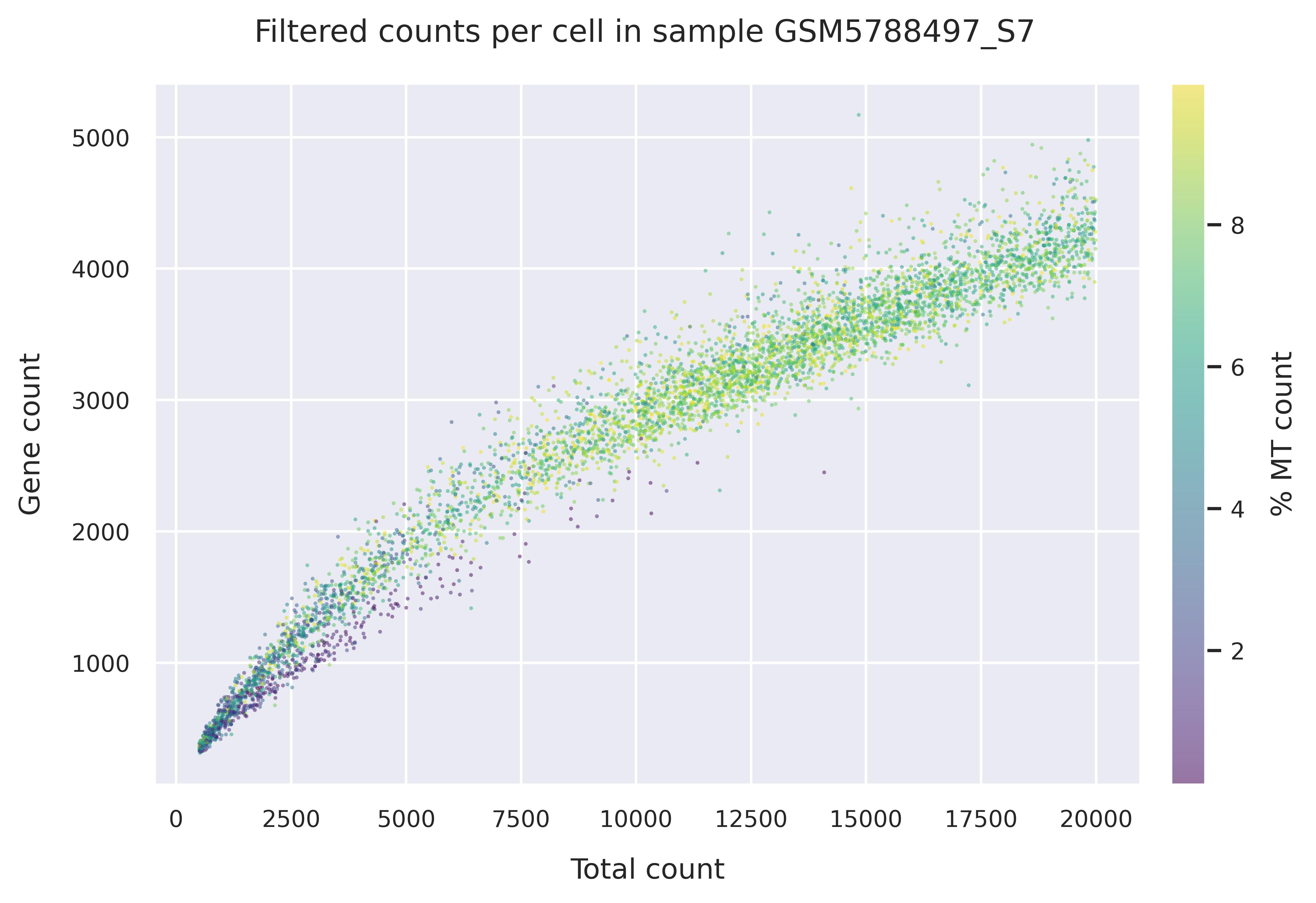 Mitochondrial counts (filtered)