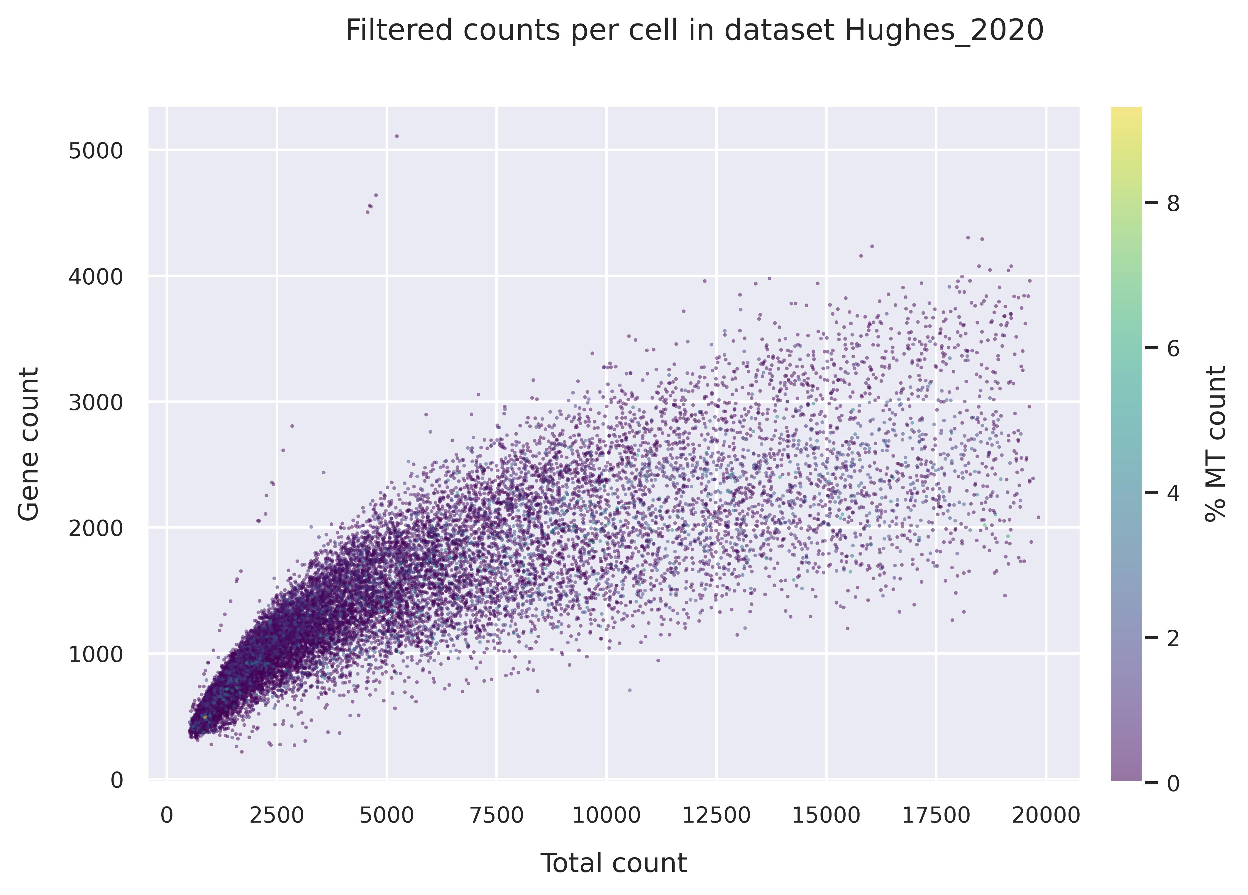 Mitochondrial counts (filtered)