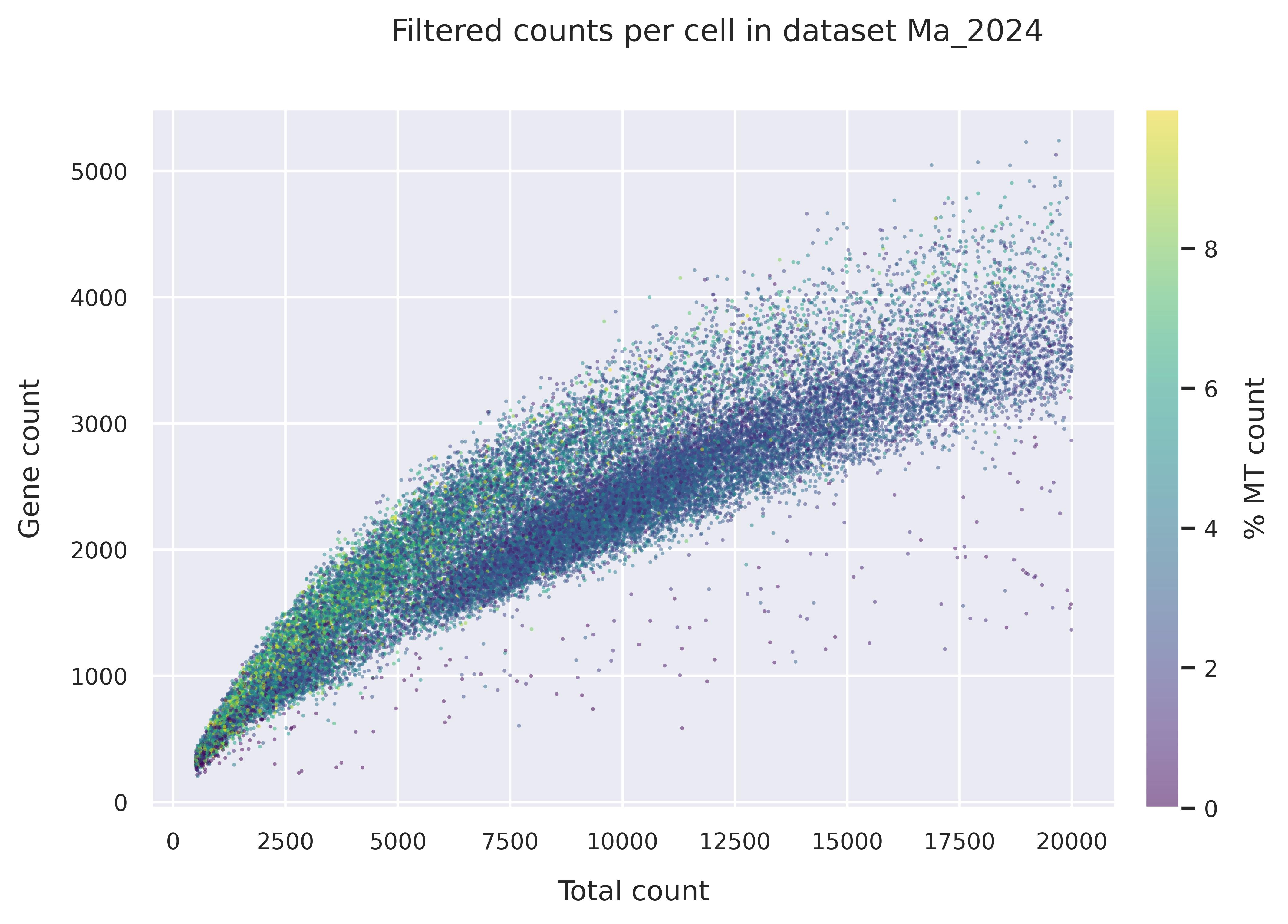 Mitochondrial counts (filtered)