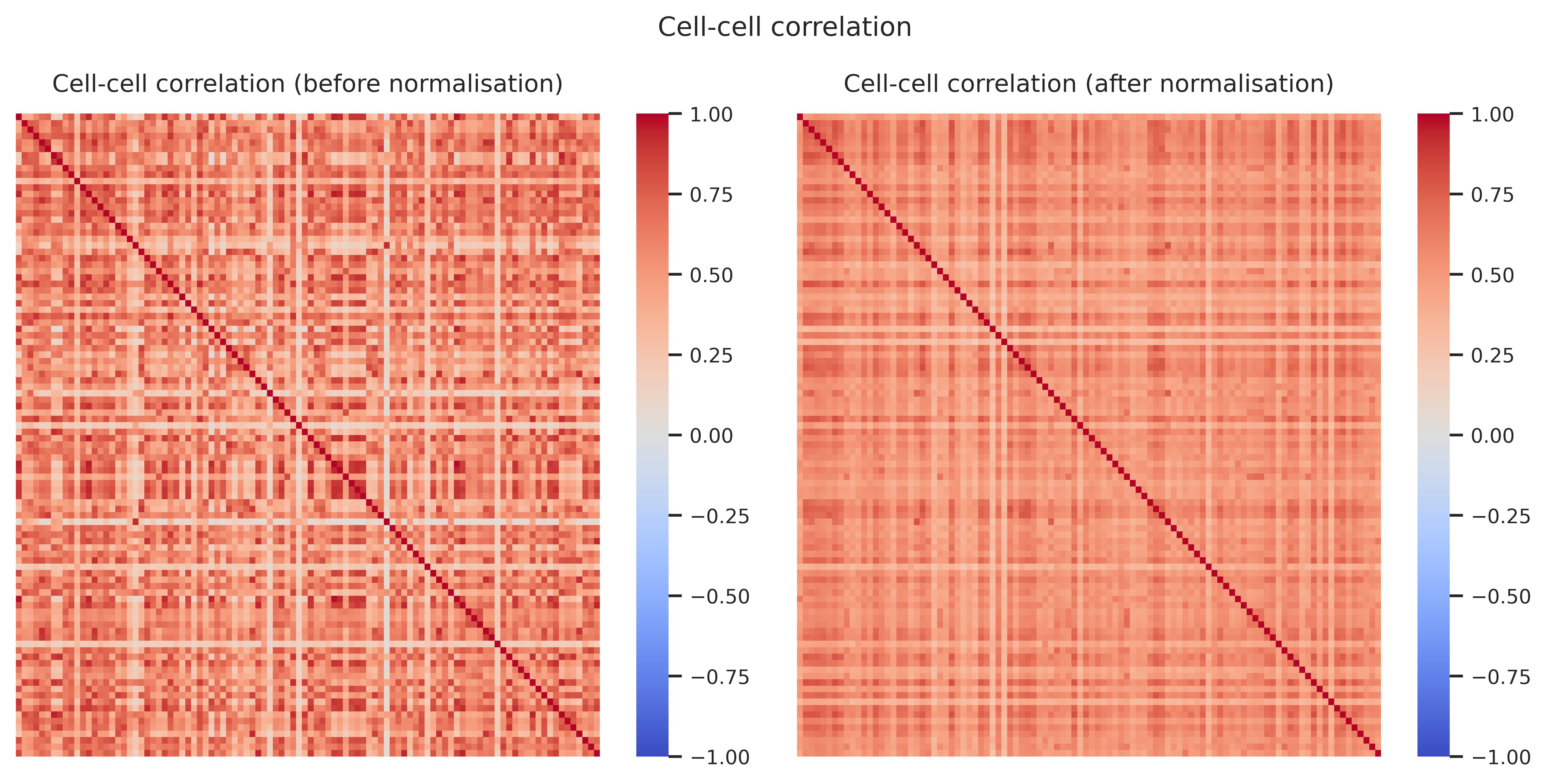 Cell–cell correlation
