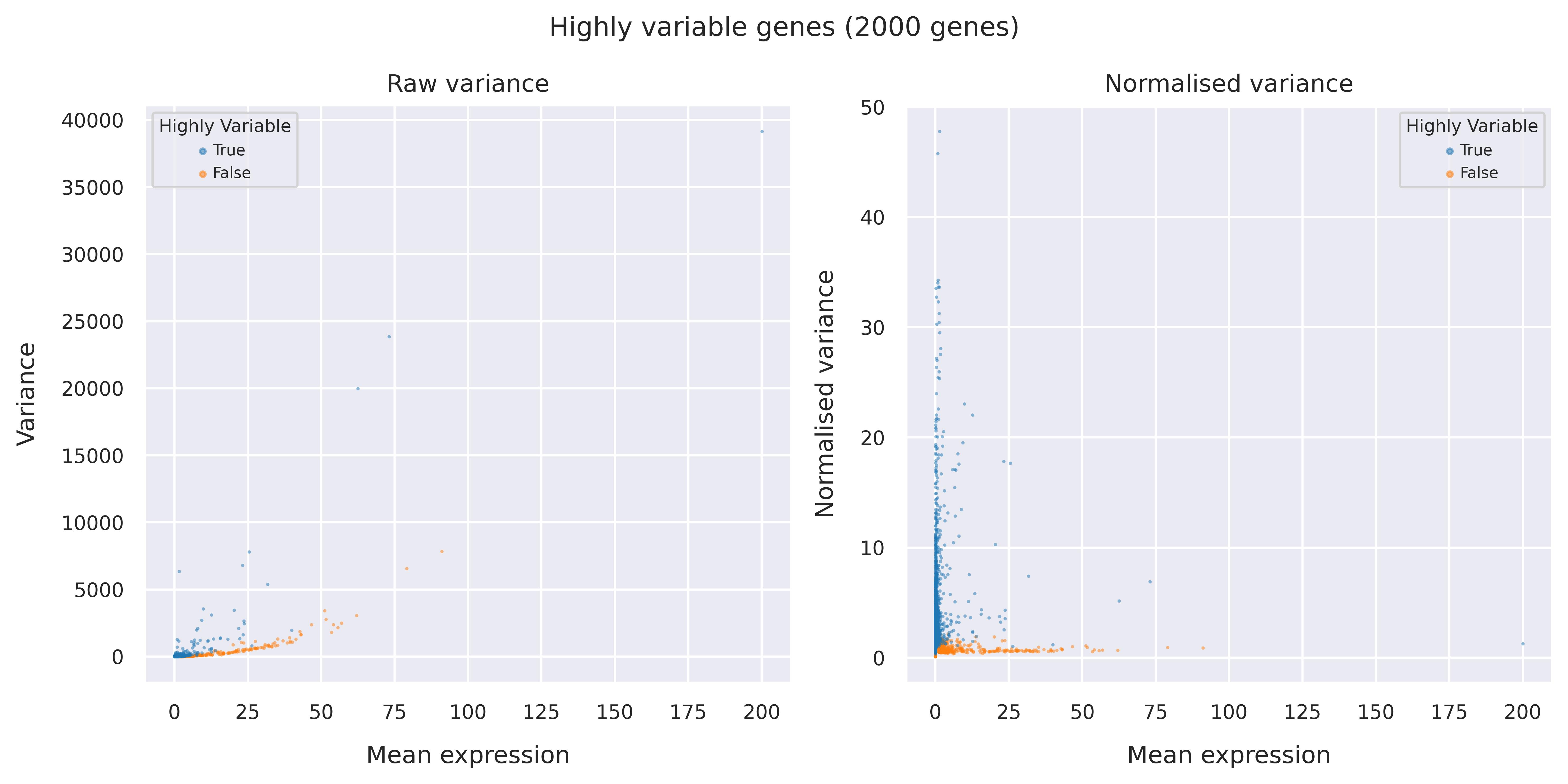 Highly variable genes
