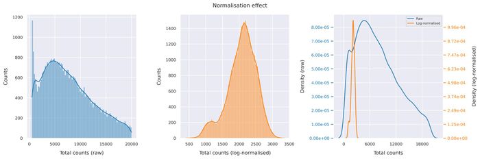 Normalisation effect