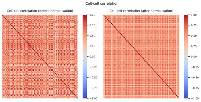 Cell–cell correlation