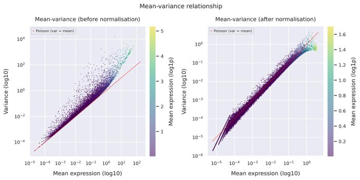 Mean–variance relationship
