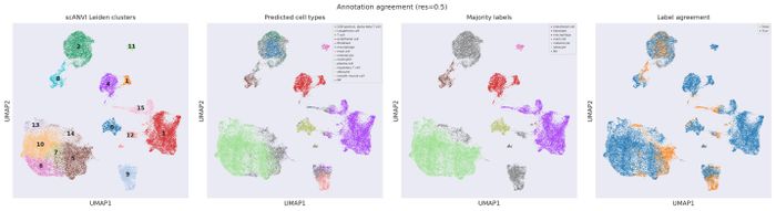 Annotation QC (res 0.5)