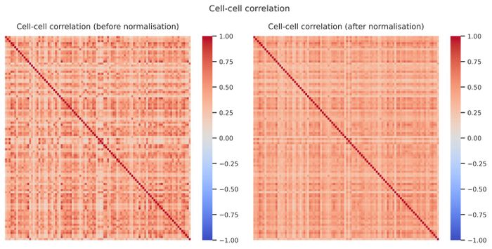 Cell–cell correlation