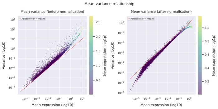 Mean–variance relationship