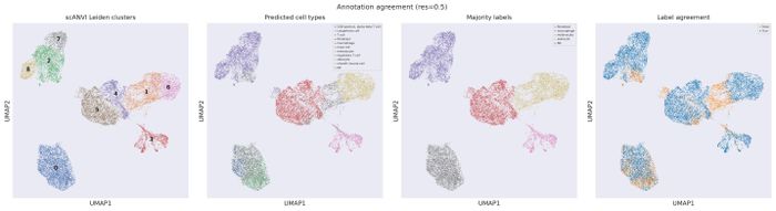 Annotation QC (res 0.5)