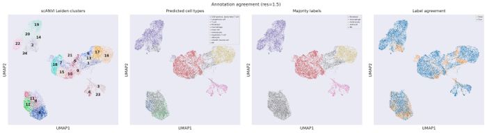 Annotation QC (res 1.5)