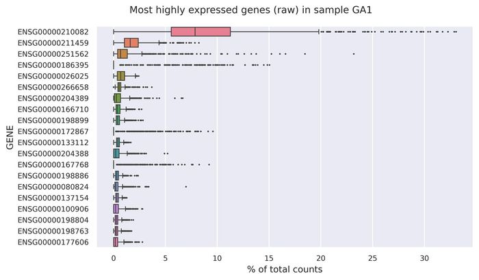 Highest expressed genes