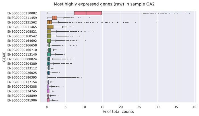 Highest expressed genes