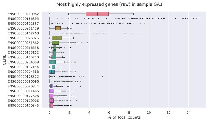 Highest expressed genes (filtered)