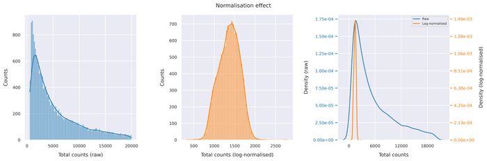 Normalisation effect
