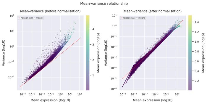Mean–variance relationship