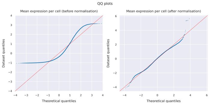 QQ plots