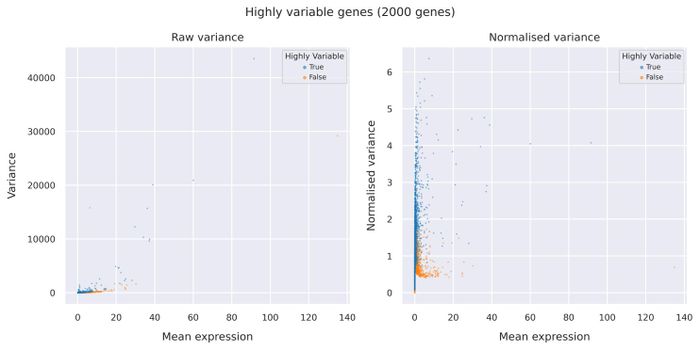 Highly variable genes
