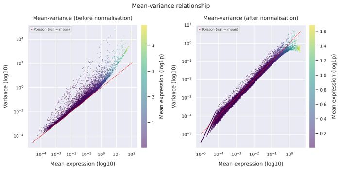 Mean–variance relationship