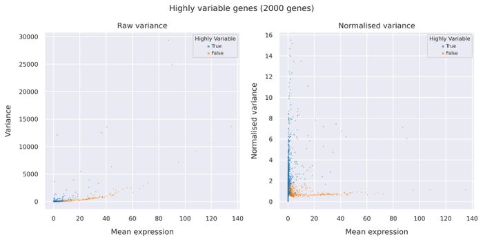 Highly variable genes