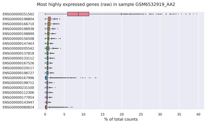 Highest expressed genes (filtered)