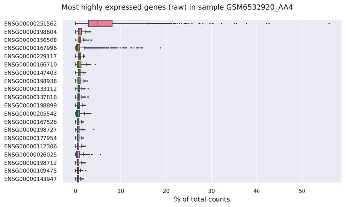 Highest expressed genes (filtered)