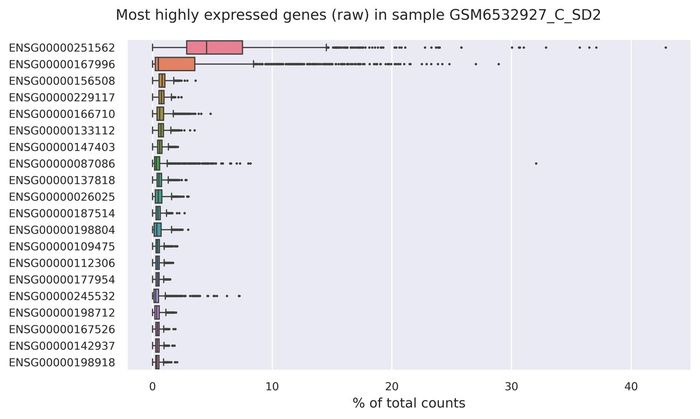 Highest expressed genes (filtered)