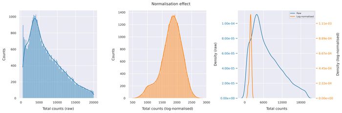 Normalisation effect