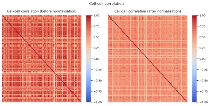Cell–cell correlation