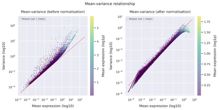 Mean–variance relationship