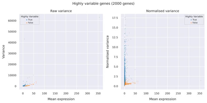 Highly variable genes