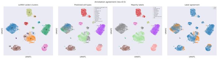 Annotation QC (res 0.5)