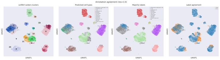 Annotation QC (res 1.0)