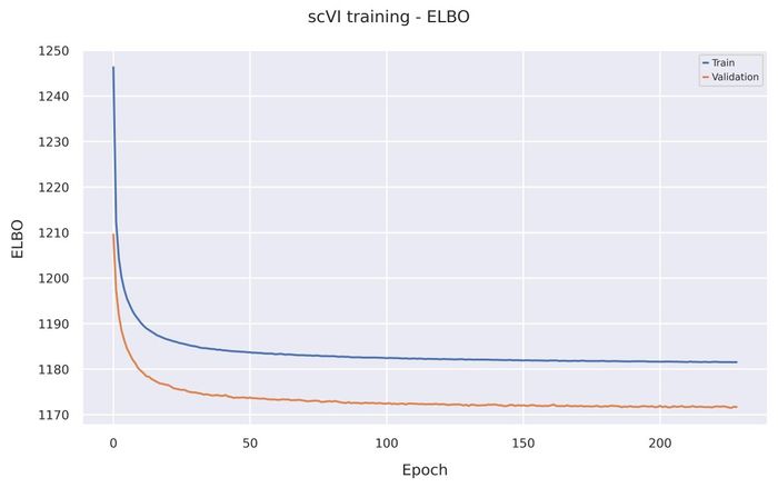 ELBO