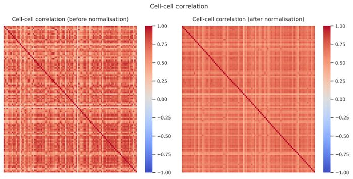 Cell–cell correlation