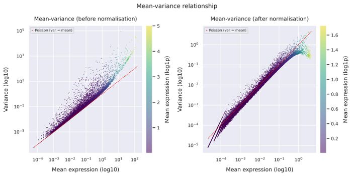 Mean–variance relationship