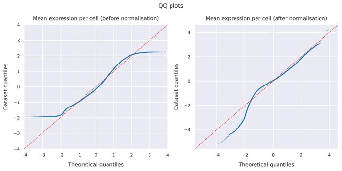 QQ plots