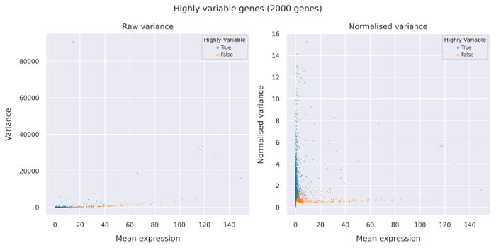 Highly variable genes