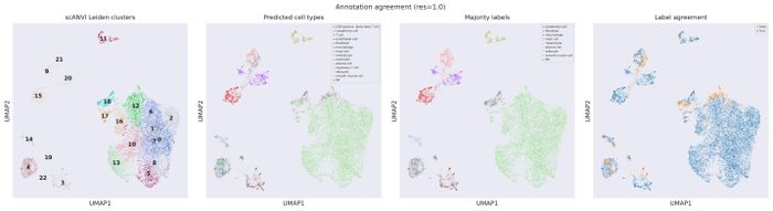 Annotation QC (res 1.0)