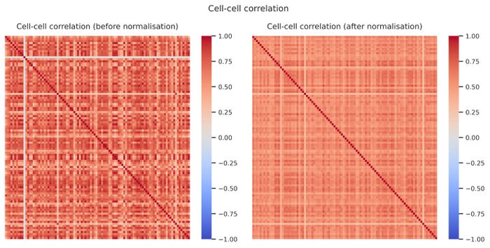 Cell–cell correlation