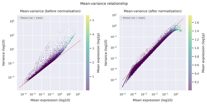 Mean–variance relationship