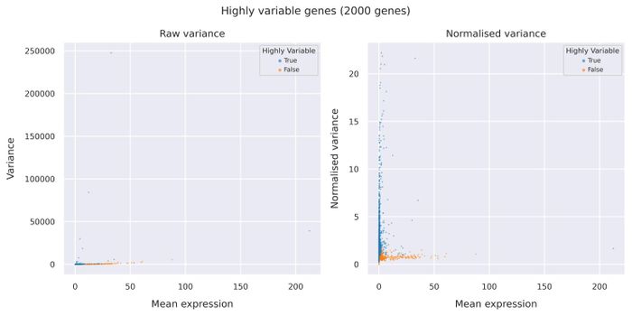 Highly variable genes