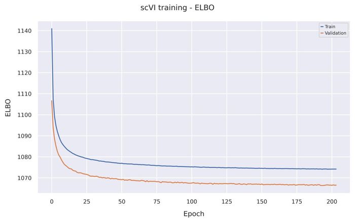 ELBO