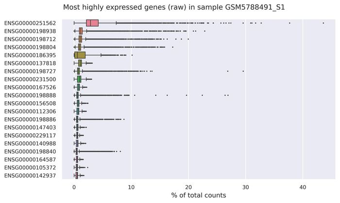 Highest expressed genes