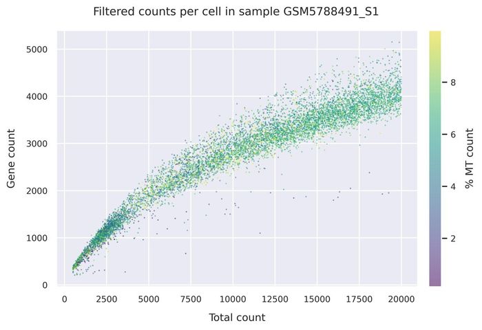 Mitochondrial counts (filtered)