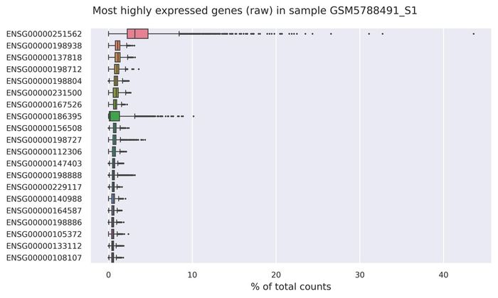Highest expressed genes (filtered)