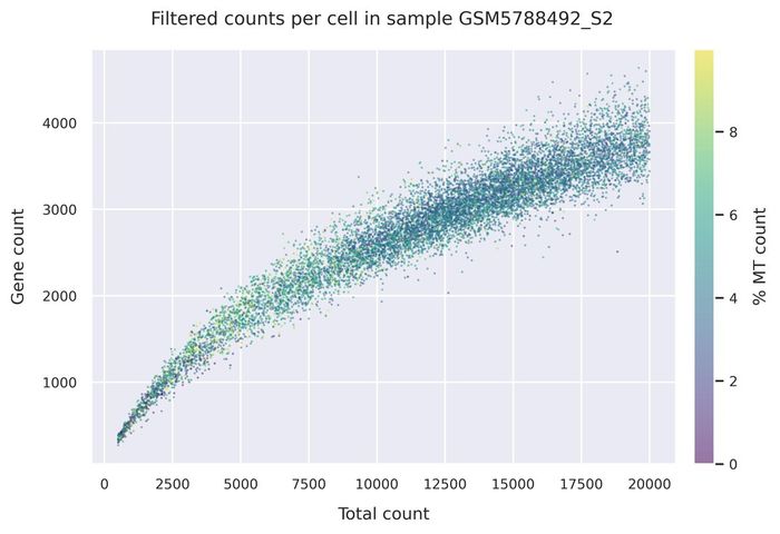 Mitochondrial counts (filtered)