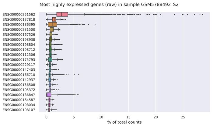Highest expressed genes (filtered)