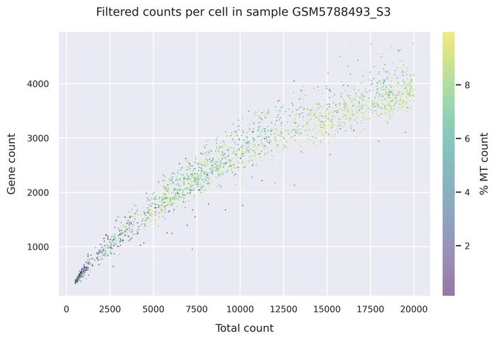 Mitochondrial counts (filtered)