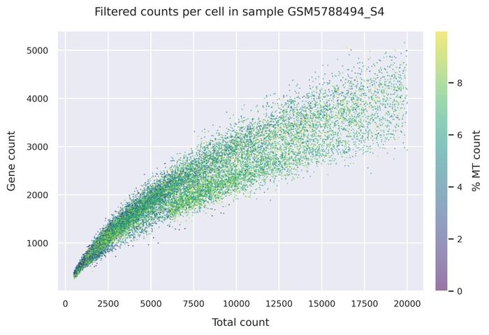 Mitochondrial counts (filtered)