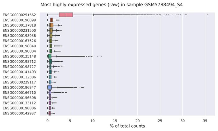 Highest expressed genes (filtered)
